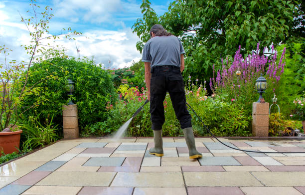 Best Sidewalk and Walkway Cleaning  in Elmira Heights, NY